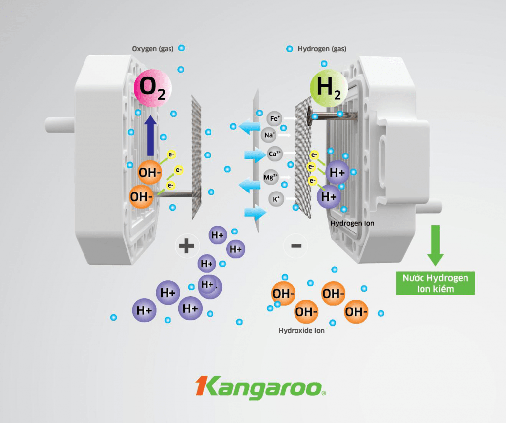 KangArticle 2